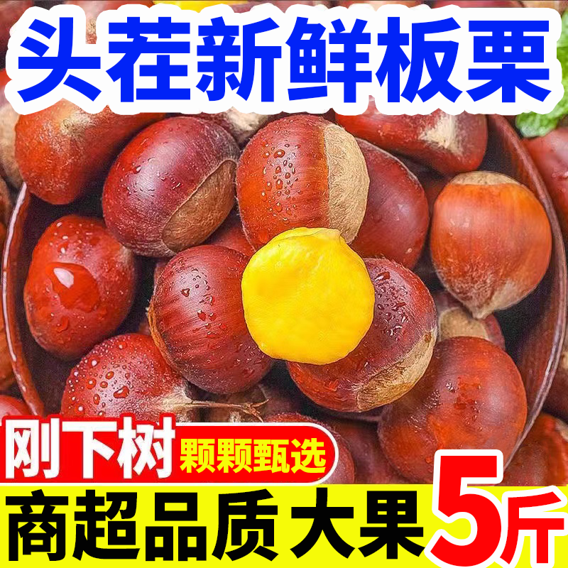 【产地直发】丹东板栗生新鲜栗子野生农家板栗难剥皮非油栗5斤批发
