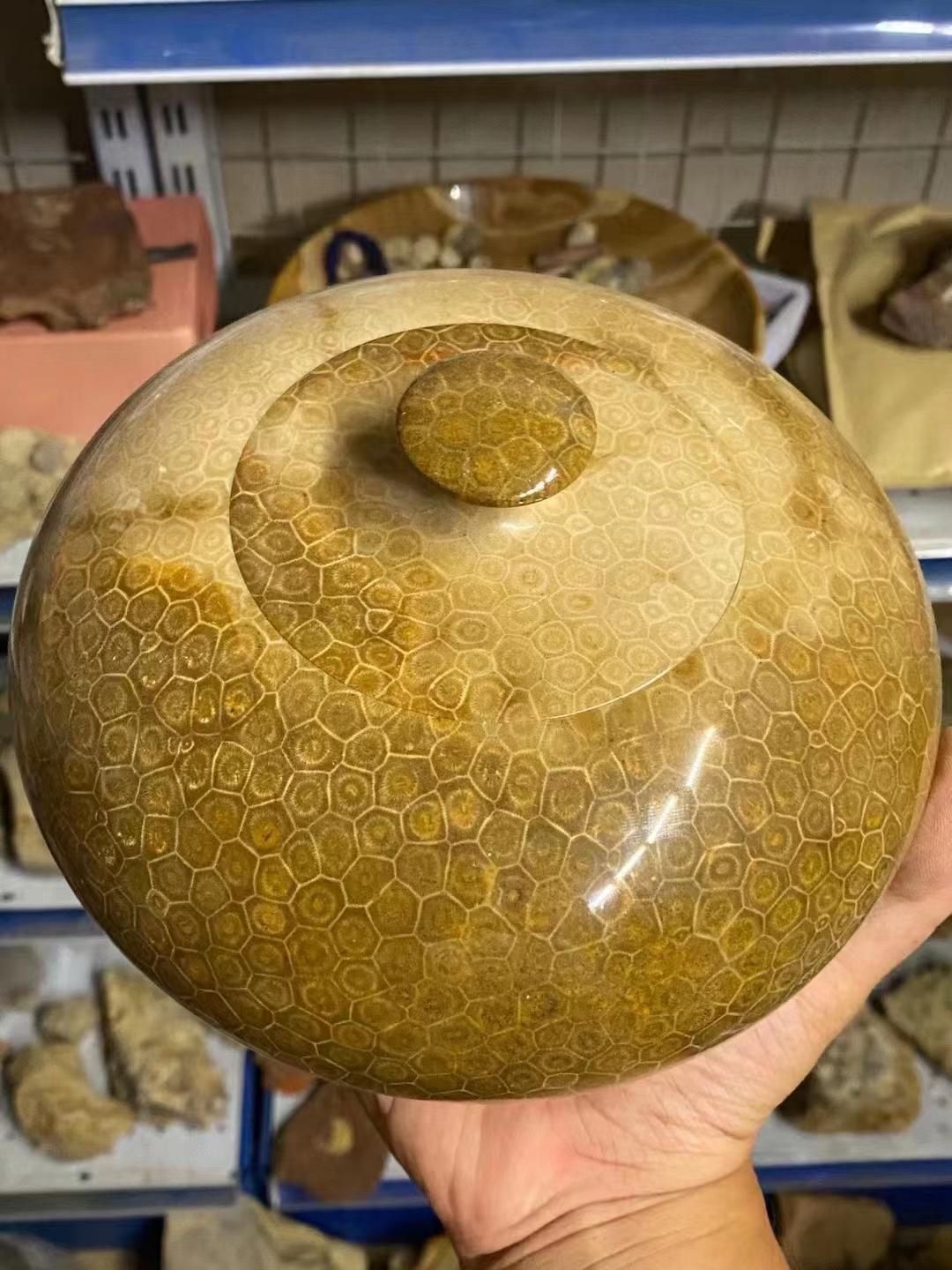 拍品链接200-拍品400奇石教学直播一物一拍