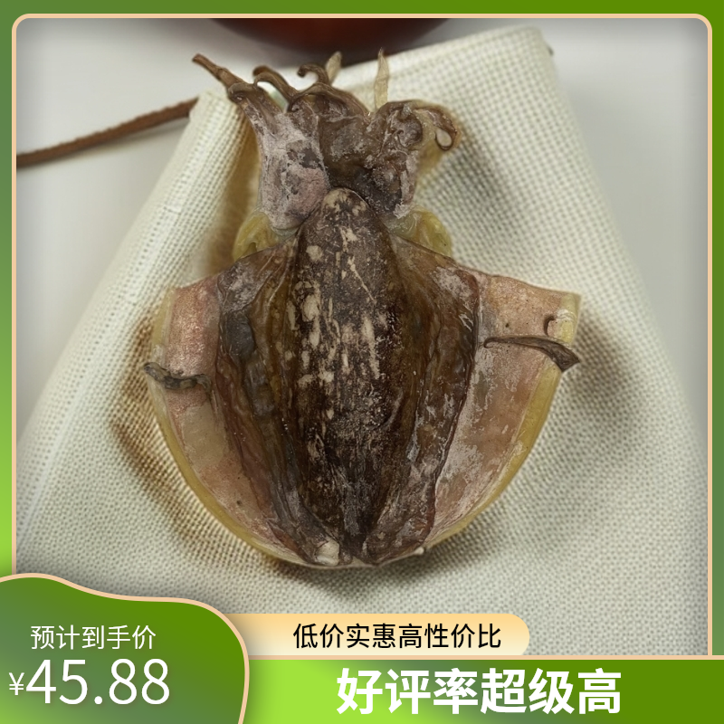 湛江特产特大墨鱼干生晒墨鱼单条大于140克