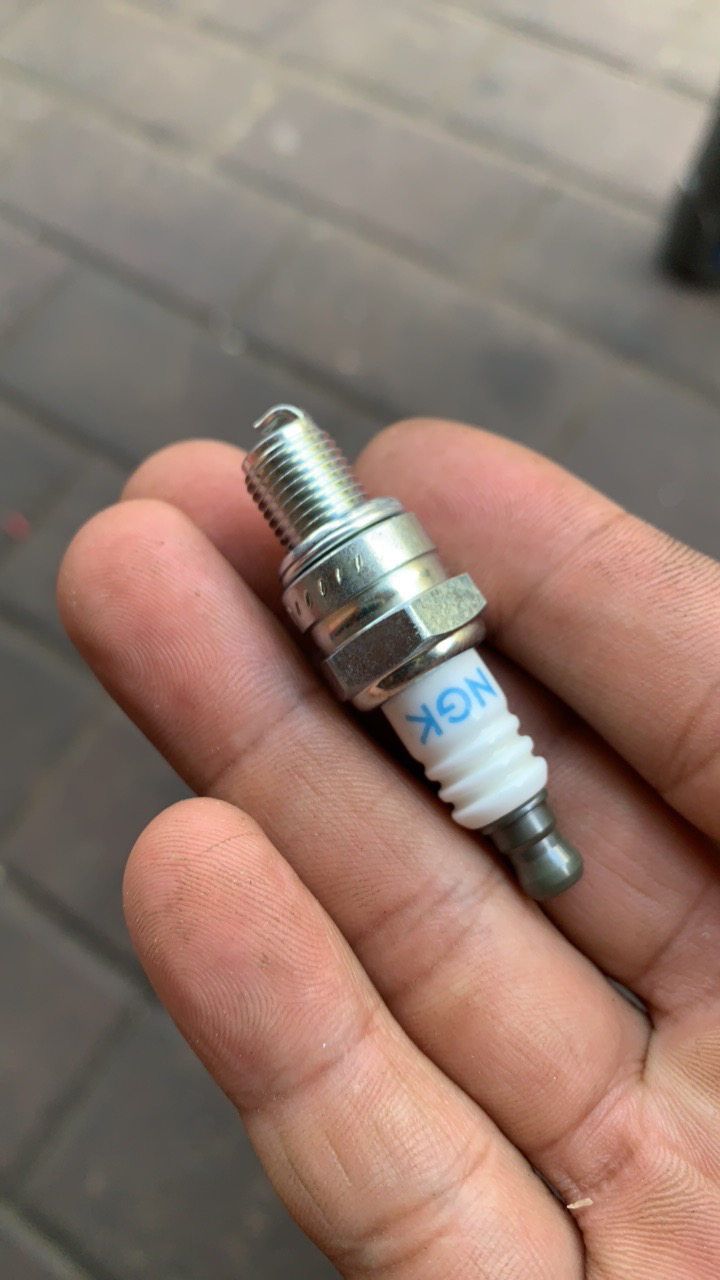 斯蒂尔油锯割草机原装火花塞NGK火花塞，散装没有独立包装