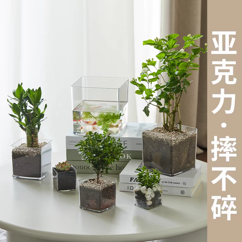 加厚透明方形盆湿水培蝴蝶兰花卉绿植方盆