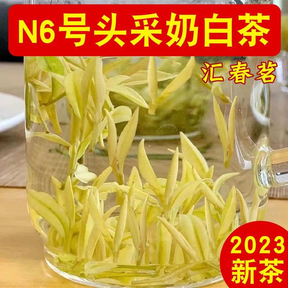 奶白茶【N6】新茶高山绿茶茶叶奶白茶黄金芽珍稀白茶罐装