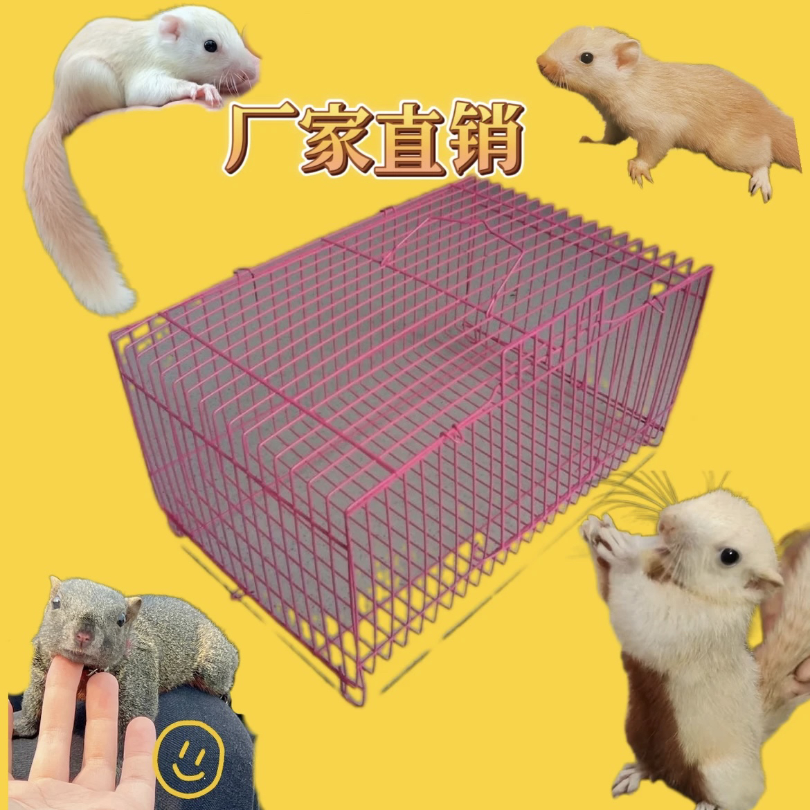 松鼠活体运输专用纸箱加厚纸箱包装包含运输笼损坏包赔偿