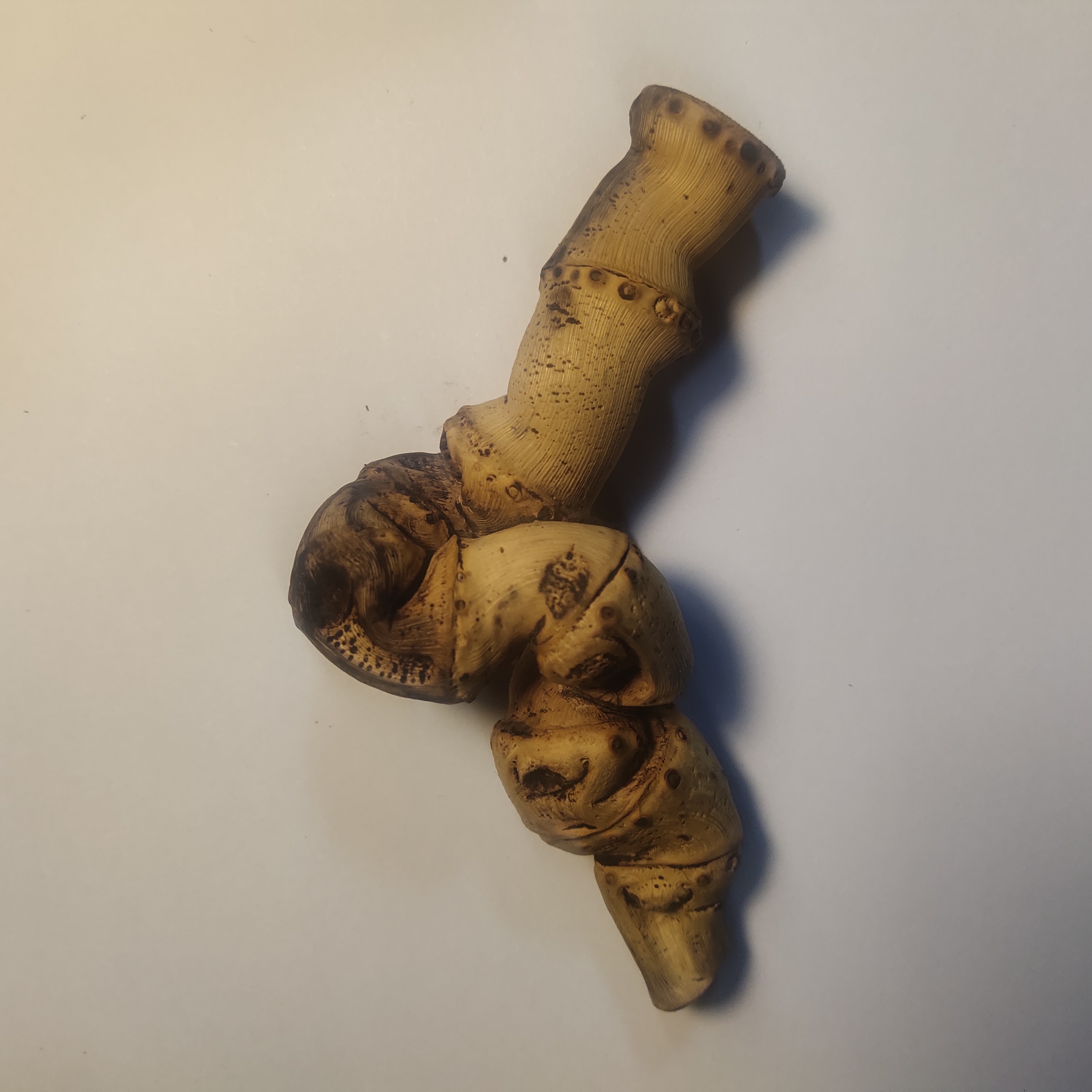 纯天原中式古典老竹鞭老竹根手玩件手把件手持件工艺品