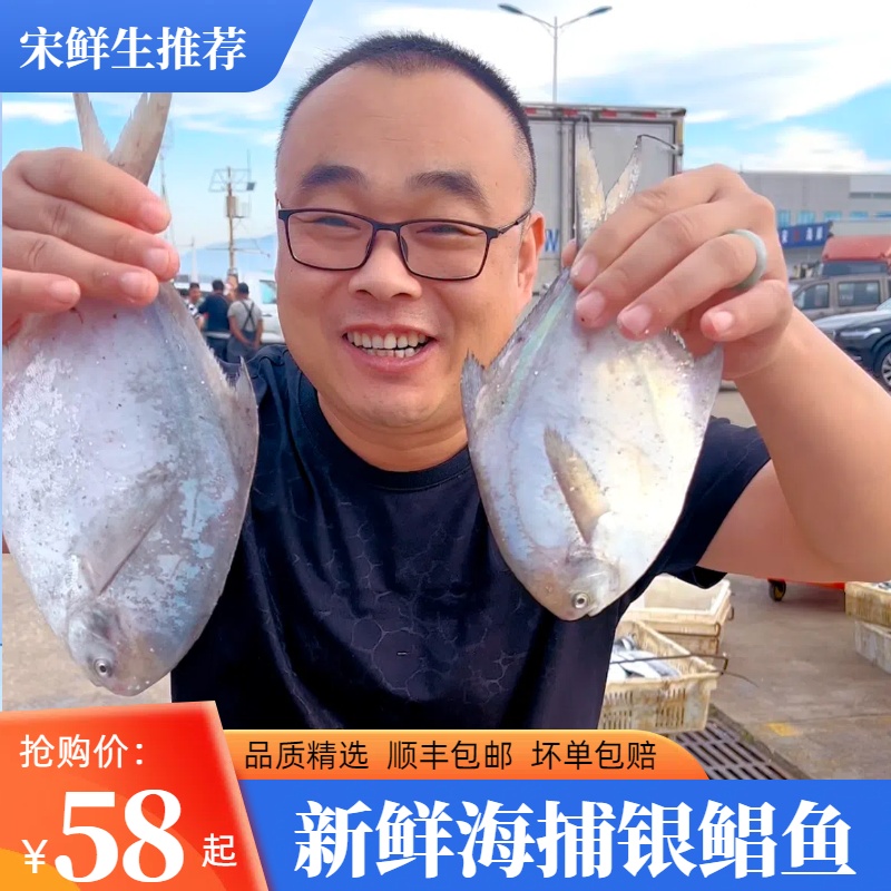 【顺丰包邮】日照本地新鲜海捕银鲳鱼 深海银鲳鱼肉质细腻(500g/包)