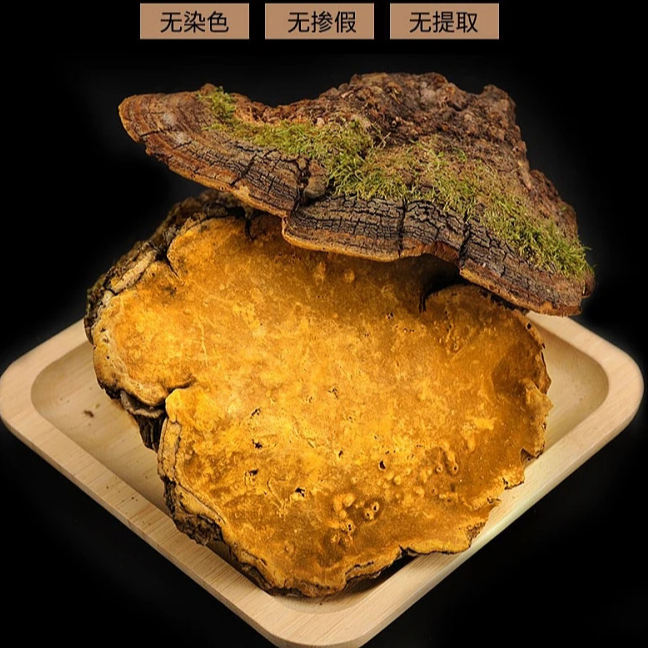 【精选无硫】西藏桑黄灵芝林芝煮水煲汤泡酒西洋参  250g 大个