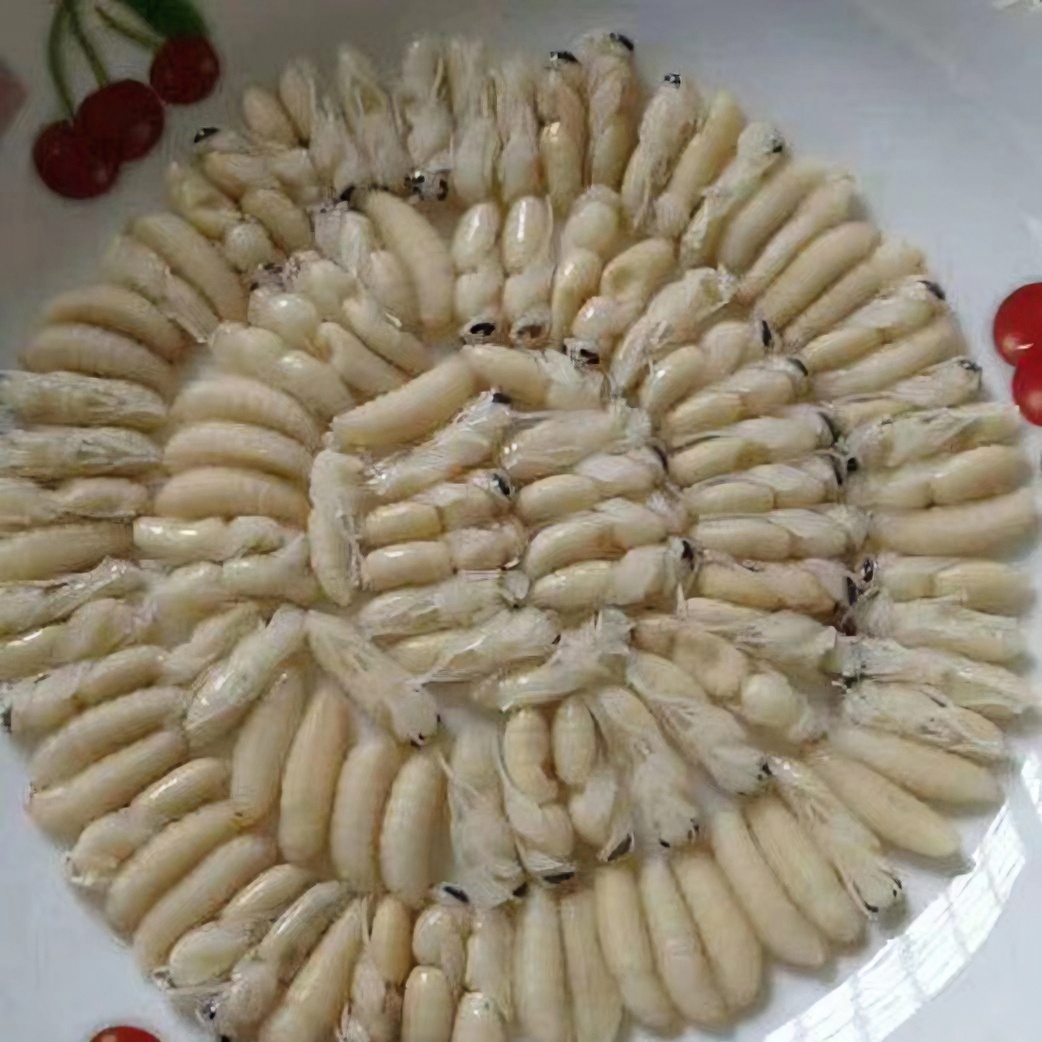 马蜂食用昆虫一二级混合