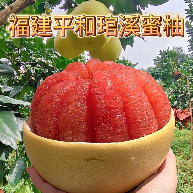 正宗福建平和产地琯溪蜜柚红心蜜柚酸甜多汁天然美味