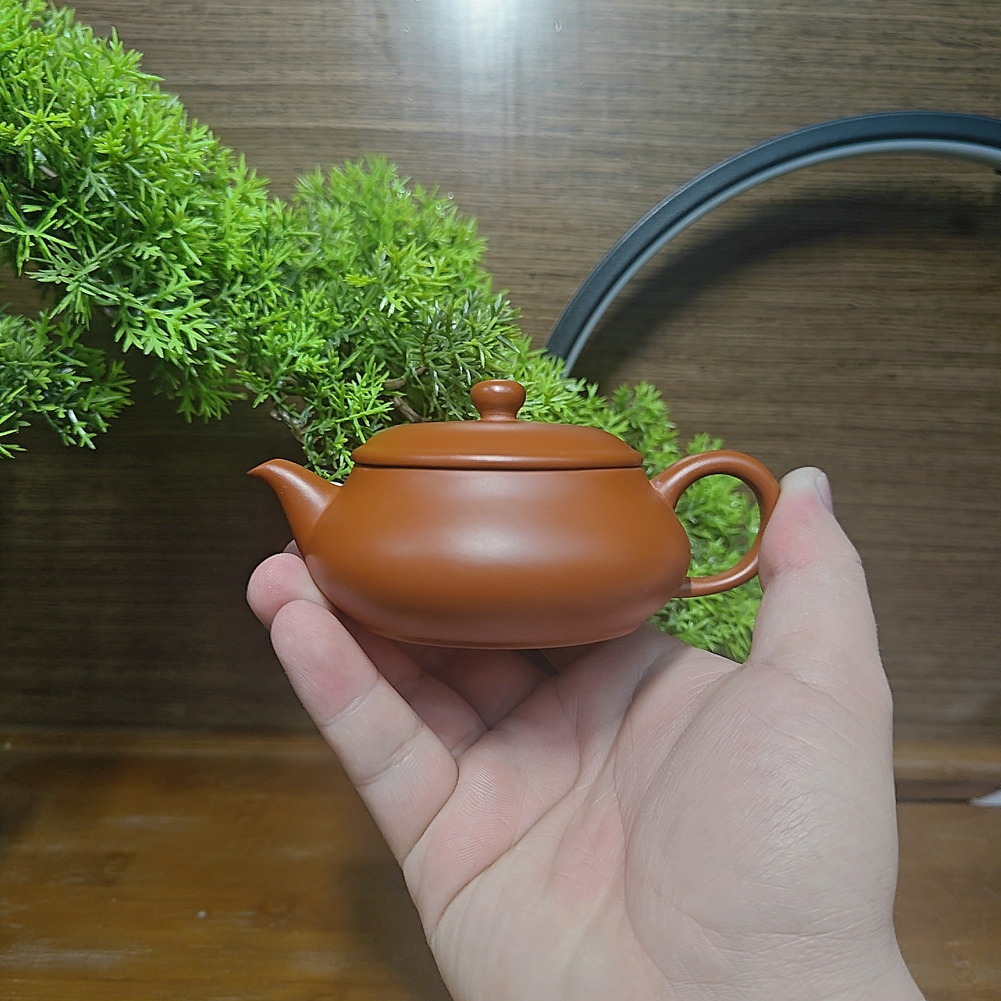 潮州朱泥手拉壶原矿朱泥明炉壶5.8公分大口径纯手工拉胚120毫升
