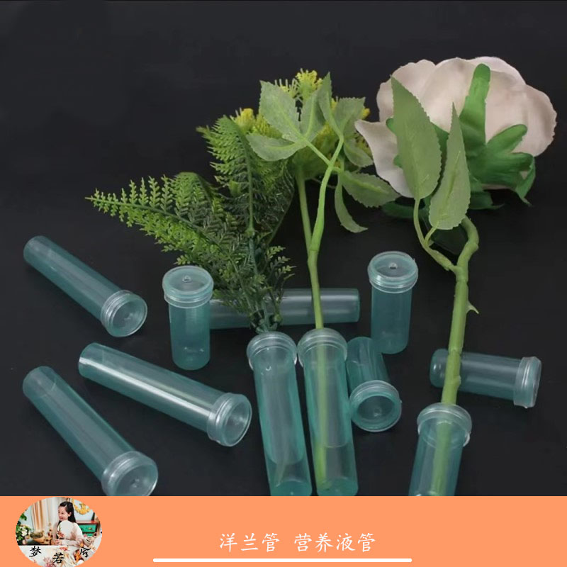  【绿萝】洋兰管鲜花营养液保养管鲜花包装材料