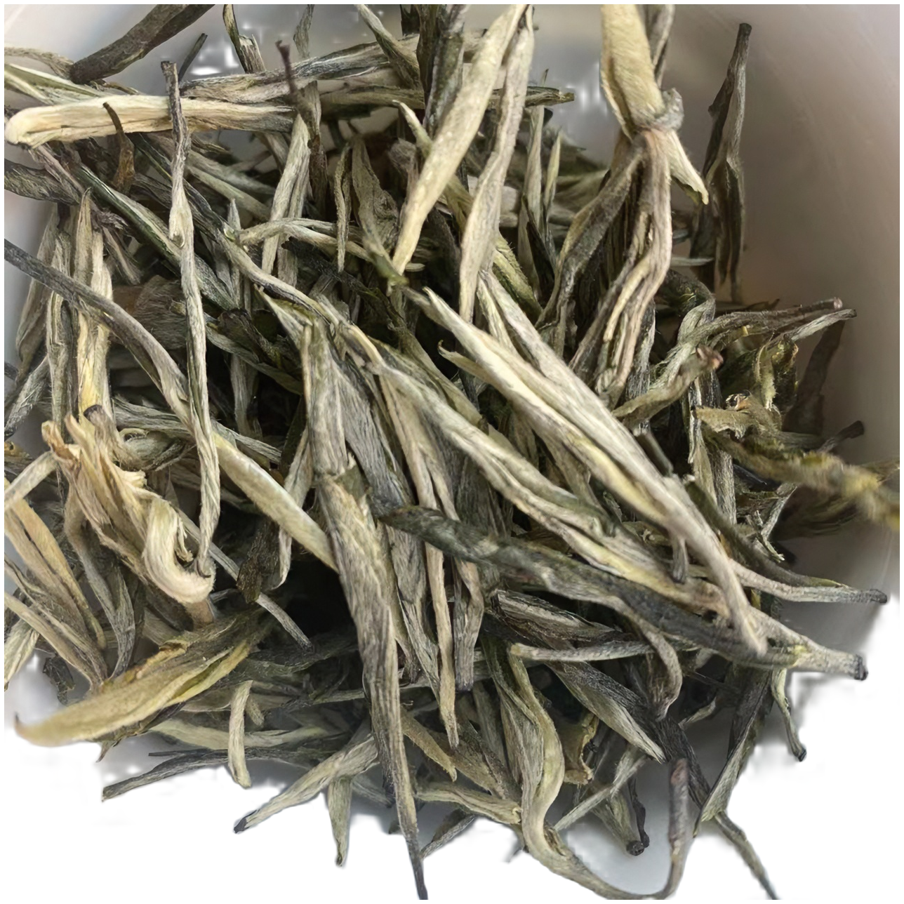 云南大叶种绿茶 2025年春茶玉针 浓香豆香形青绿茶