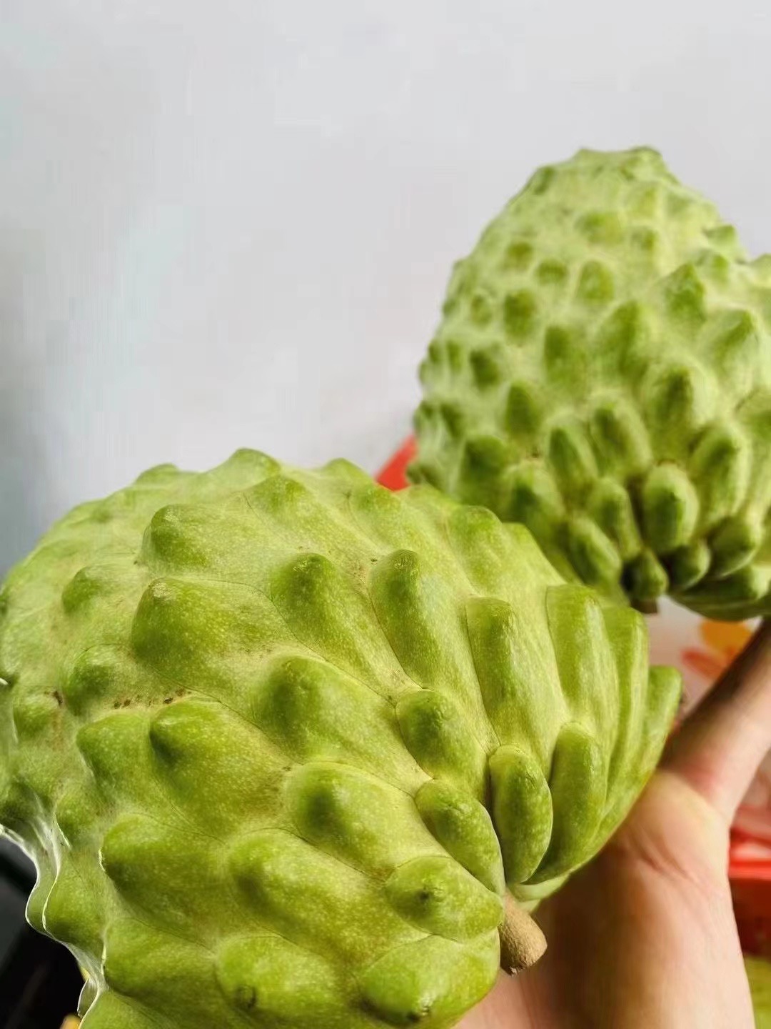 释迦果1个