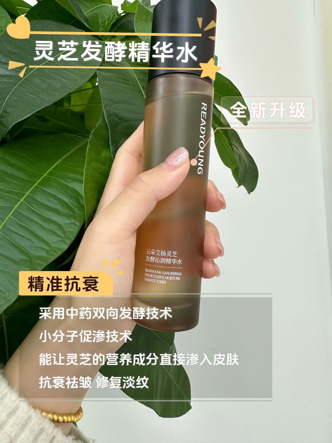云朵艾杨灵芝发酵沁润精华水