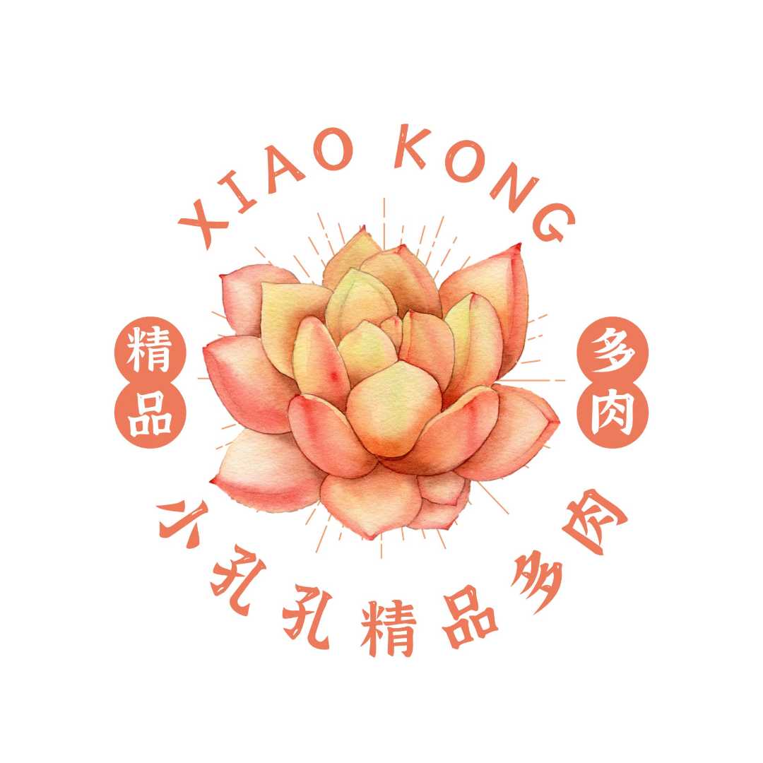 一号链接精品多肉（一物一拍）免费寄养 根系健康发货开箱售后