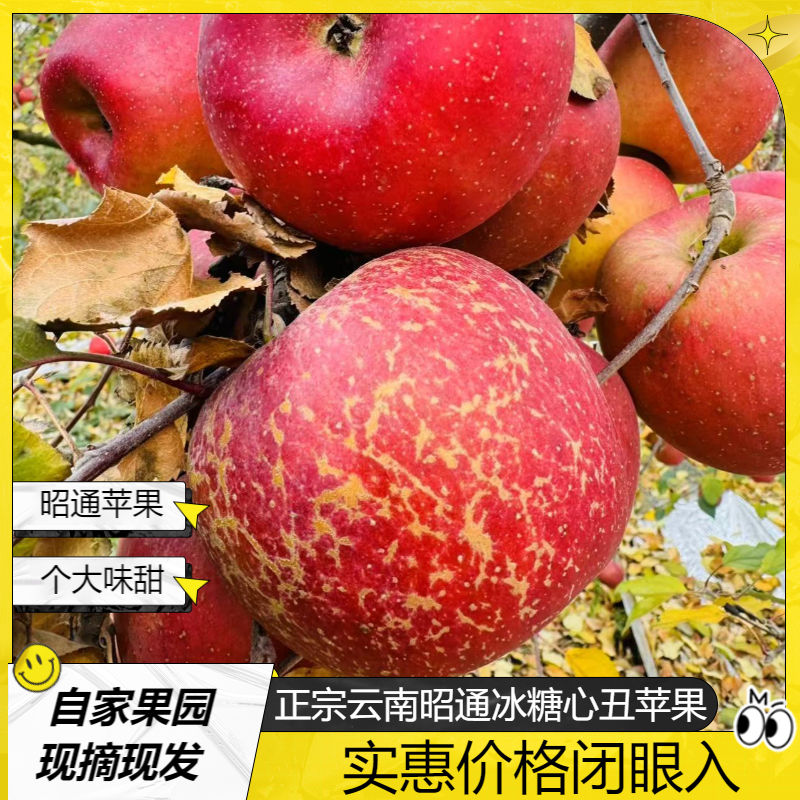 【正宗云南昭通丑苹果】新鲜昭通丑苹果糖心现摘脆甜多汁蜜香蜜甜