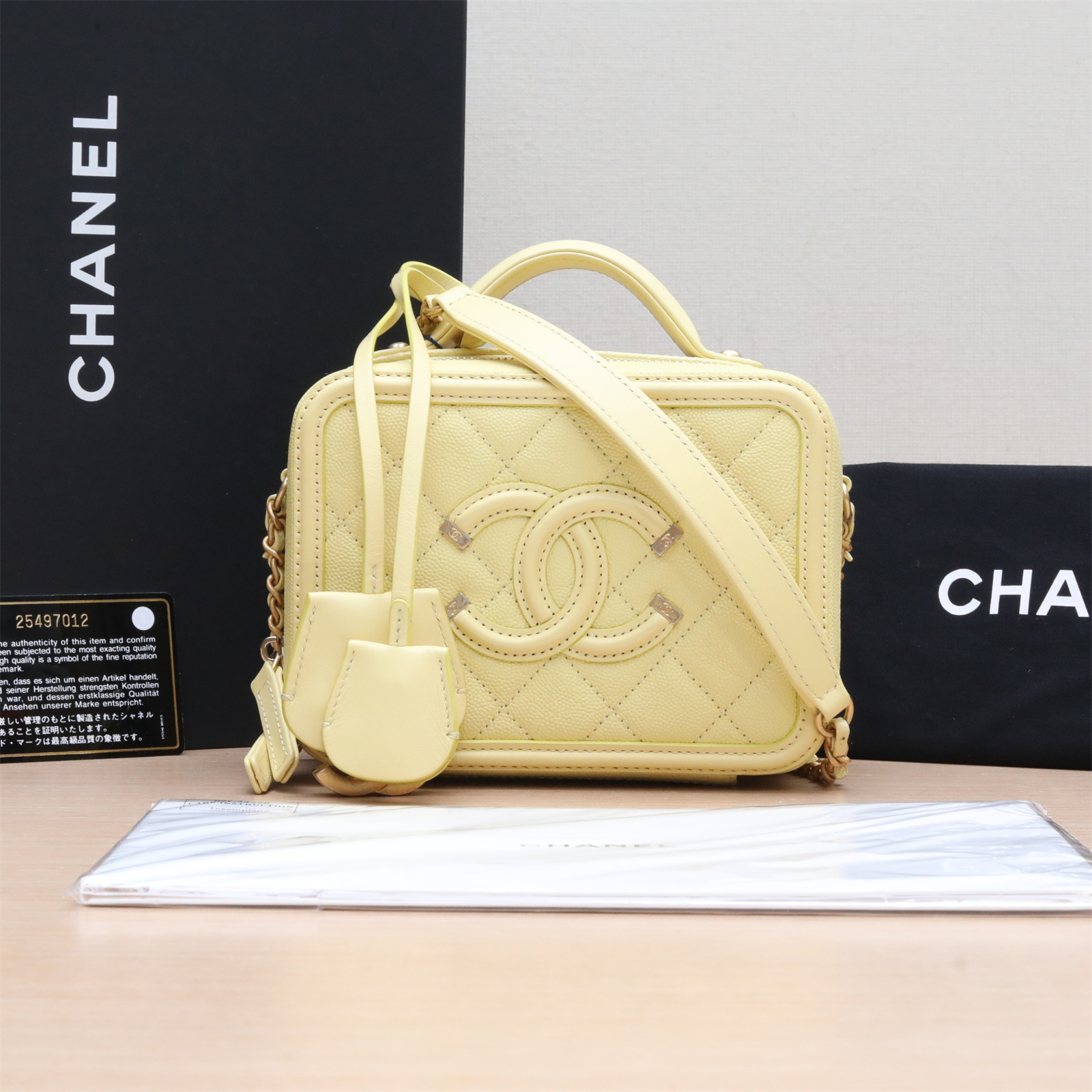 95新 Chanel/香奈儿 斜挎包 相机包 横版 17cm 25开 P234244143