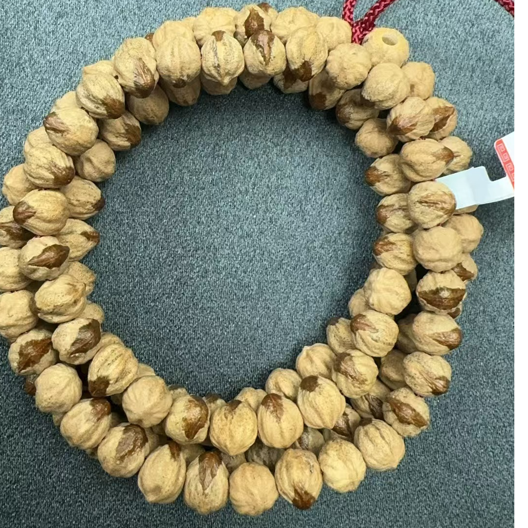 热振百香籽手串7+红芽原桩