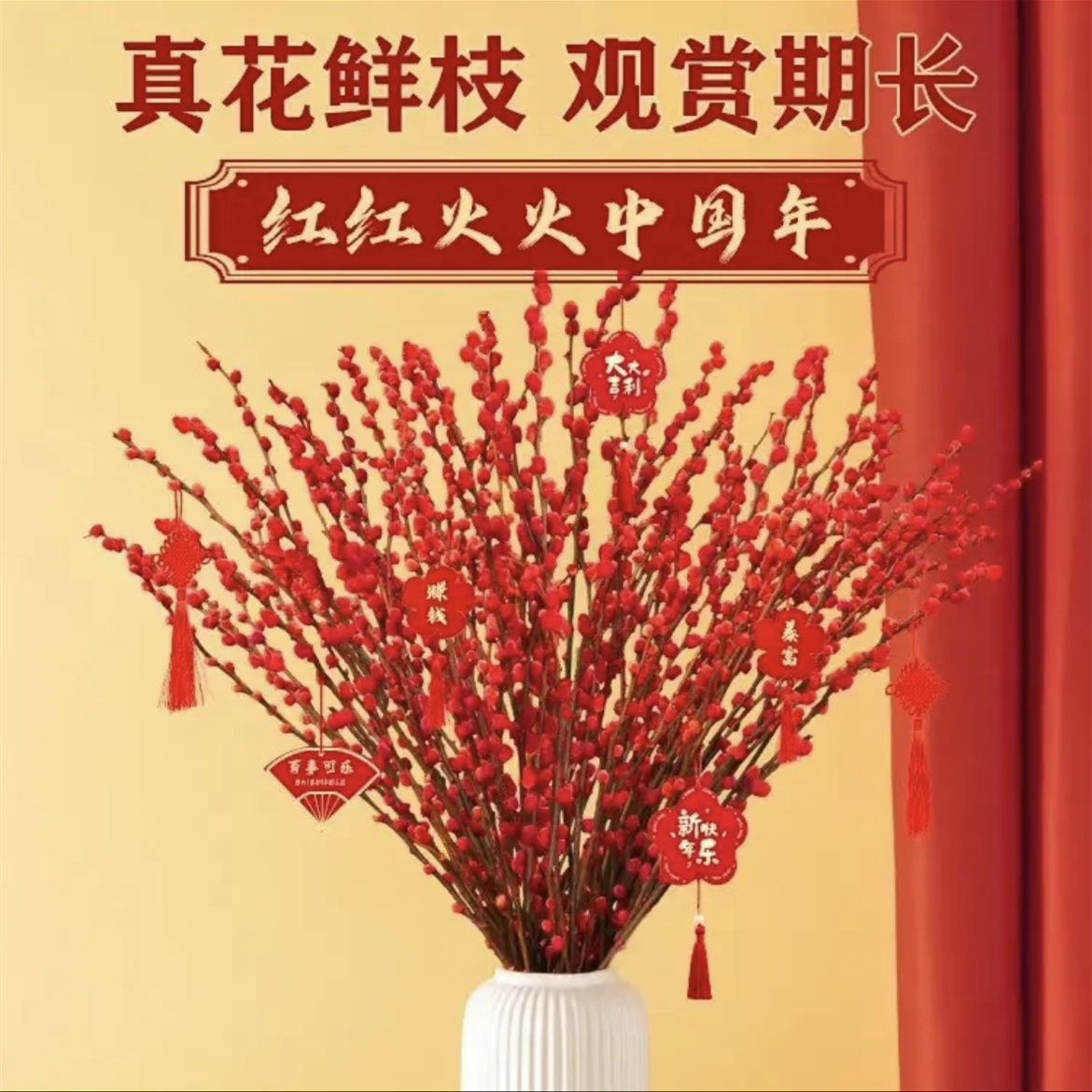银柳干花真花鲜枝水培易活植物红色喜庆年宵花卉春节客厅室内装饰