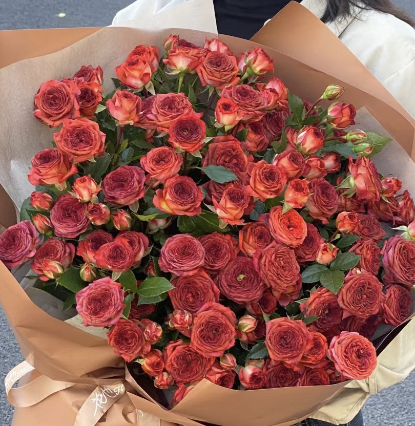 巧克力泡泡多头玫瑰10枝-新鲜家养云南基地鲜花家庭养护