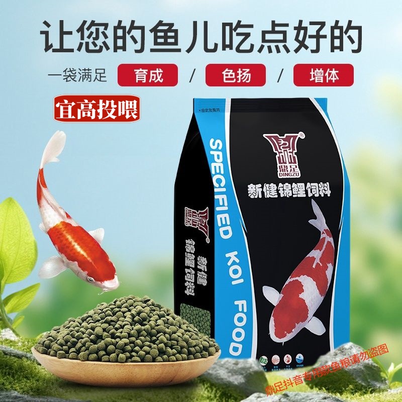 锦鲤增红金鱼小型蝴蝶鲤红白三色锦鲤专用育成增体增色上浮鱼饲料