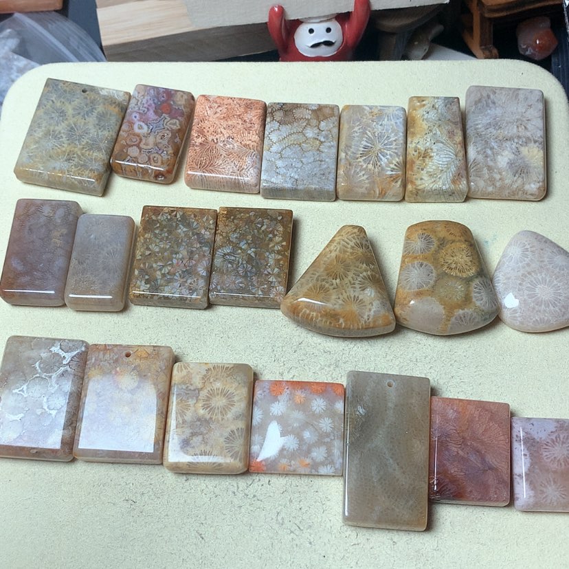 【闪购商品】硅化珊瑚（珊瑚玉）颈饰未镶嵌甭*