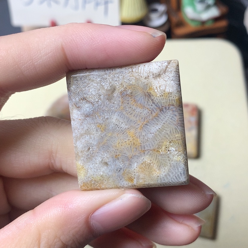 【闪购商品】硅化珊瑚（珊瑚玉）颈饰未镶嵌老**饼