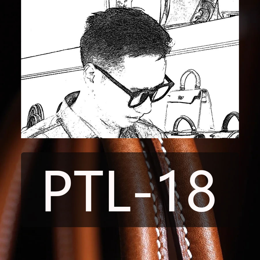 【新店福利】头层牛皮菜菜子PTL-18时尚百搭设计手提包单肩斜挎潮流