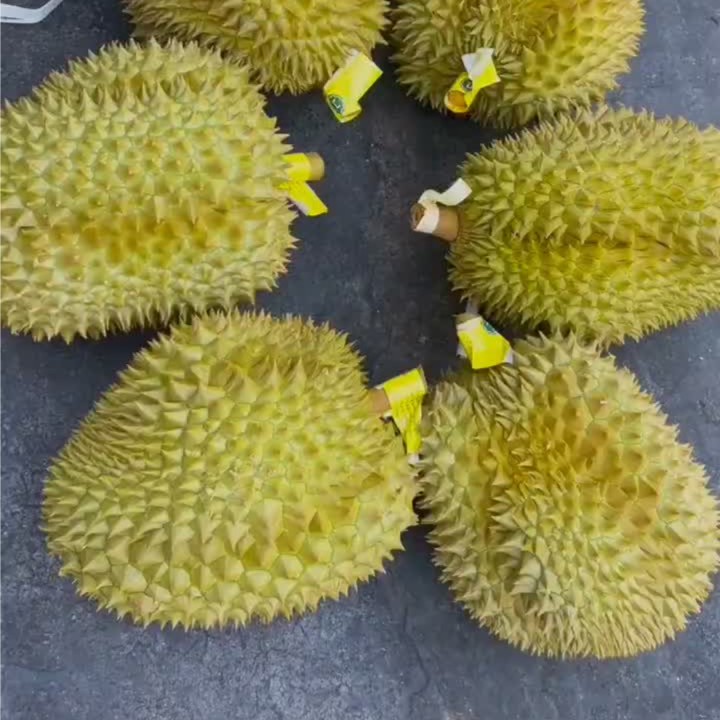 金枕榴莲16.8保熟软糯不包售后不接受差评