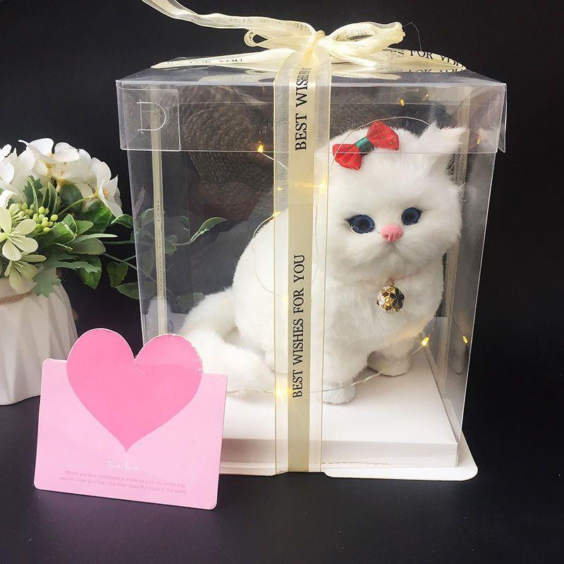 猫玩偶儿童玩具假猫公仔摆件生日教师节礼物送闺蜜女礼盒装小Z970