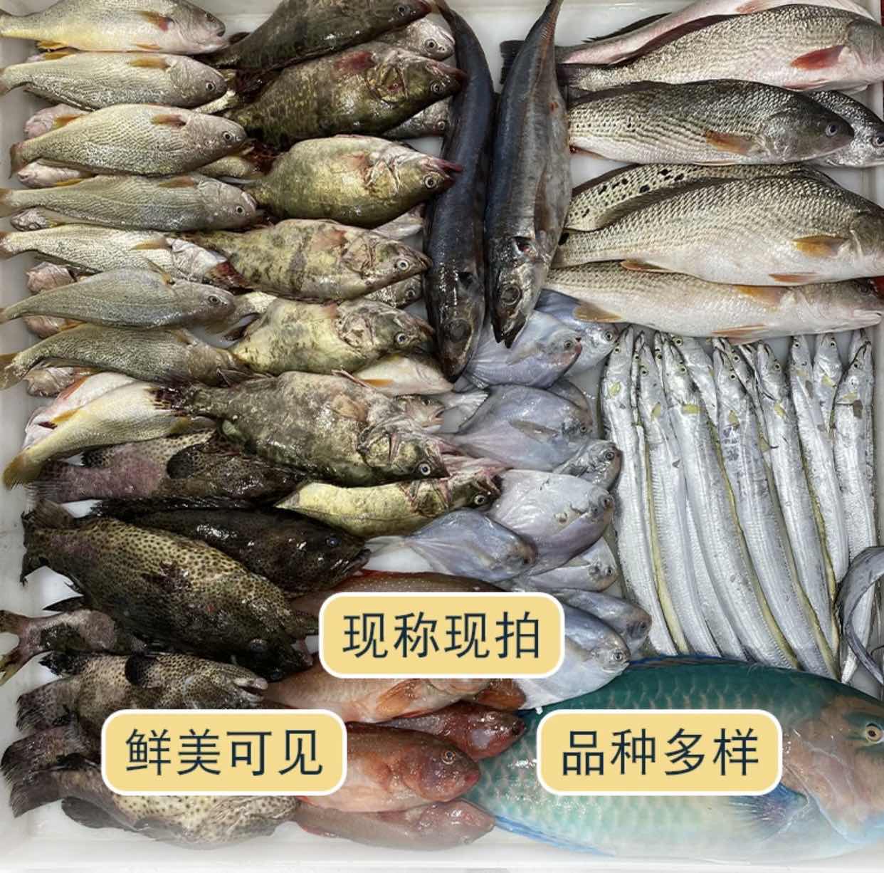 蟹6只+皮皮虾共三斤  厦门海鲜配送
