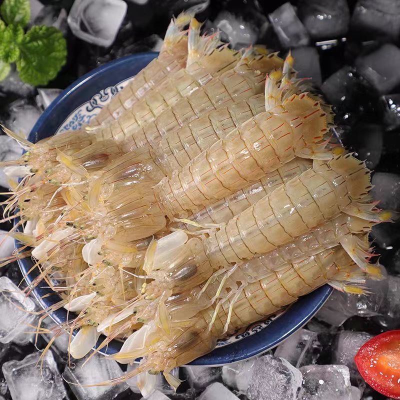 皮皮虾 不包活  厦门海鲜配送 2500g
