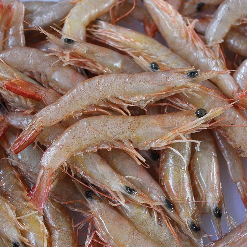 剑虾 厦门海鲜配送  2500g