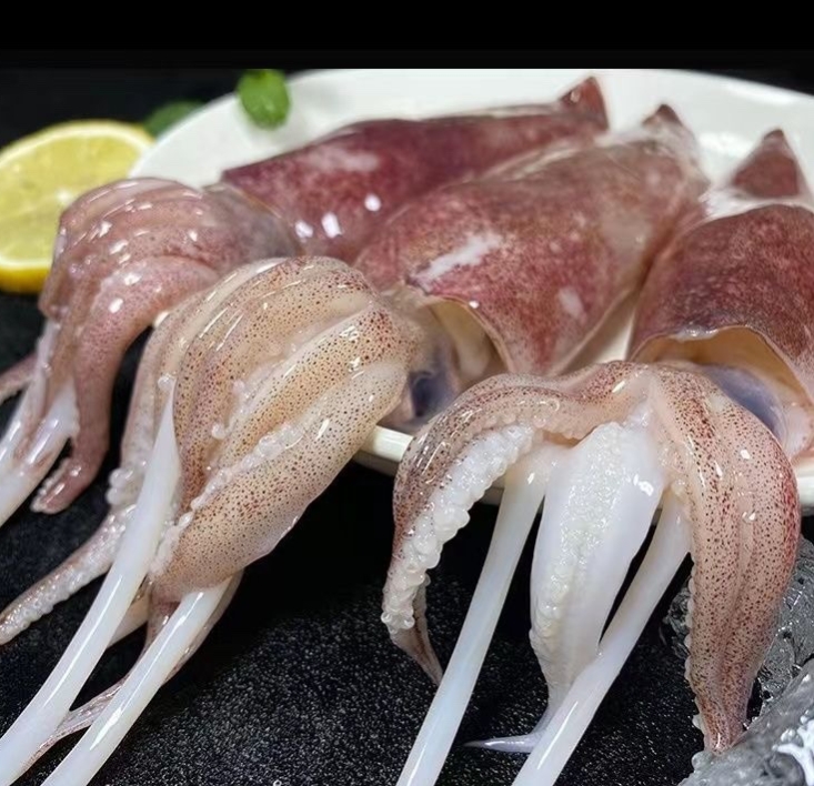 灯捕一口管10斤 厦门海鲜配送