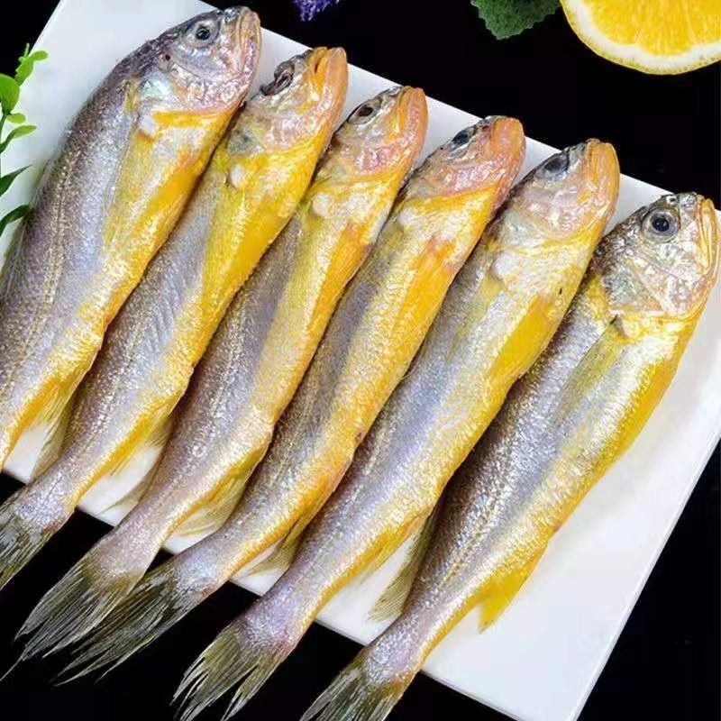 黄花鱼 厦门海鲜配送 顺丰 现称