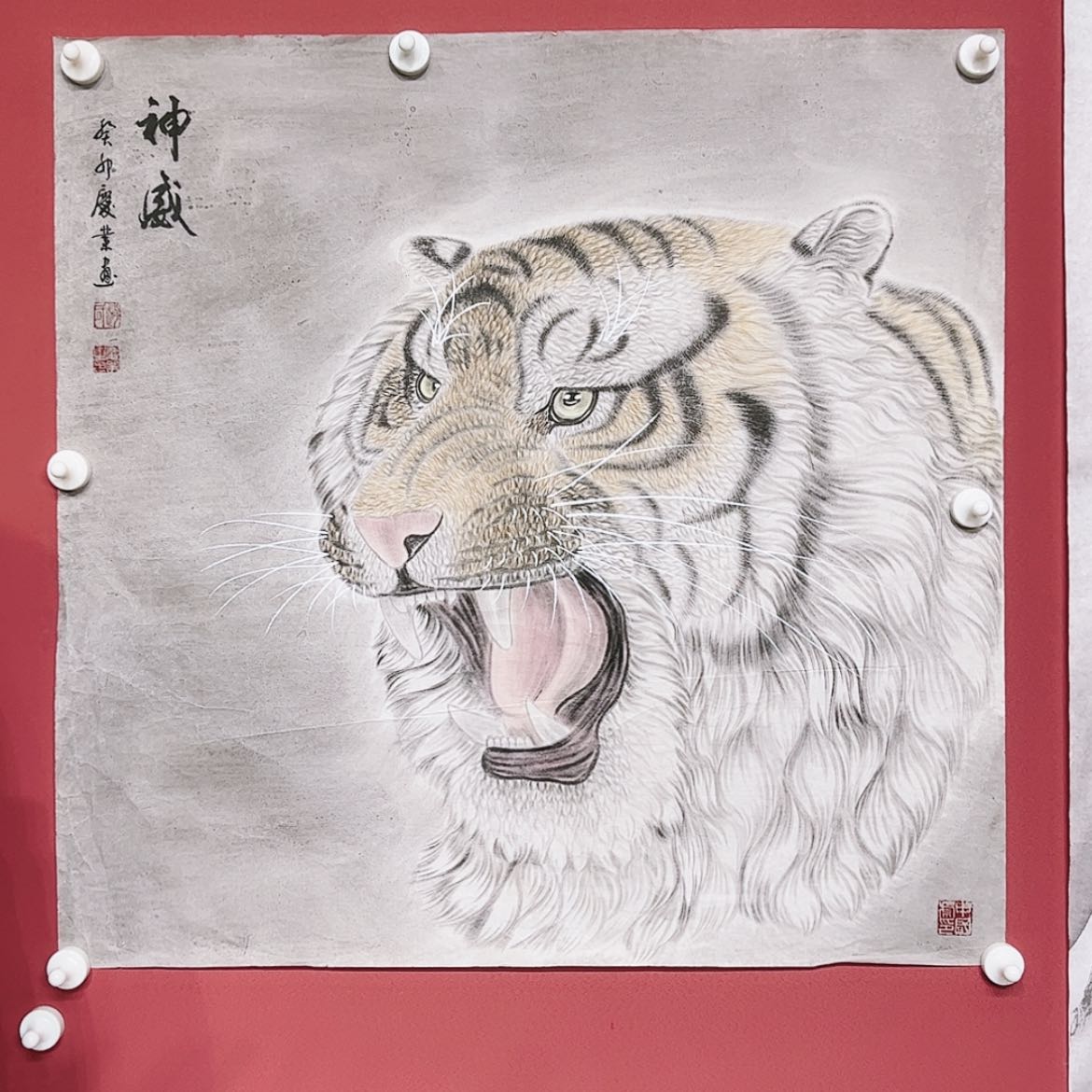 【闪购商品】绘画老虎