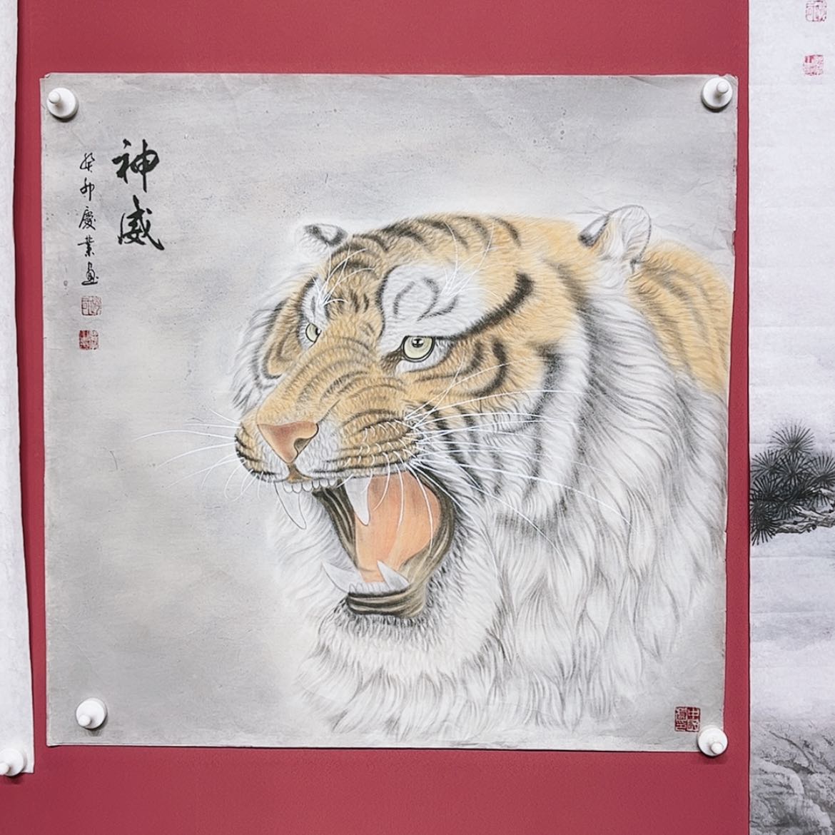 【闪购商品】绘画用****1老虎