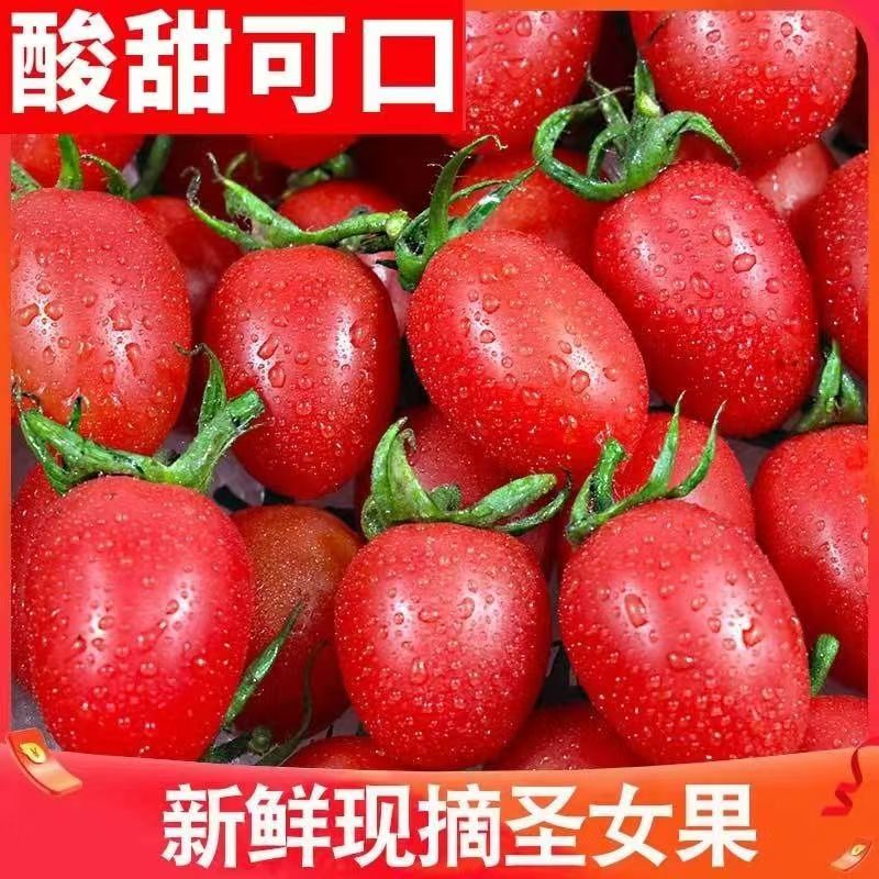 圣女果孕妇酸甜樱桃番茄一整箱小番茄正小西红柿新鲜应季水果红色