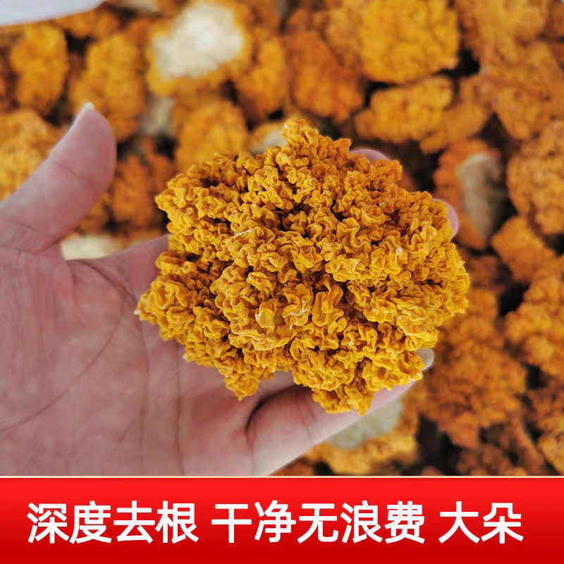 金耳菌干货大朵黄耳菌黄金耳金耳菌菇
