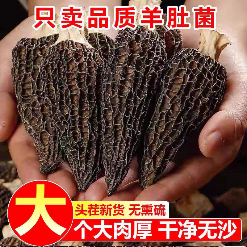 新鲜脆嫩羊肚菌干货2025头茬新货产地直销50克手工挑选干净饱满