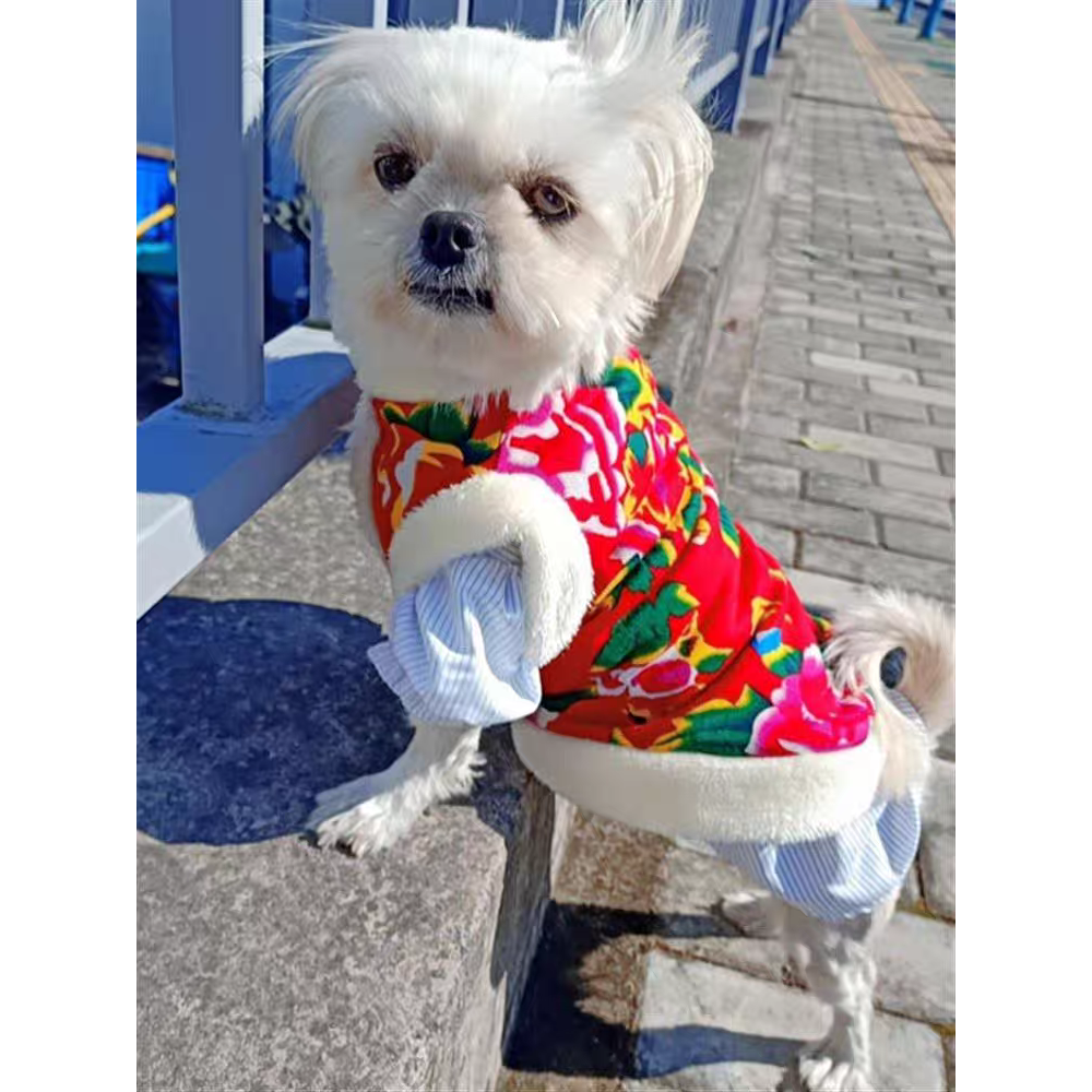 猫咪衣服秋冬东北大花棉袄拜年衣服喜庆布偶银渐层防掉毛狗狗陪嫁