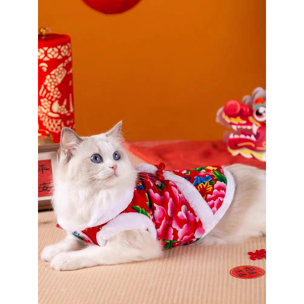 冬季新年猫咪衣服泰迪东博美宠物狗狗衣服北大花袄英短银渐层幼猫