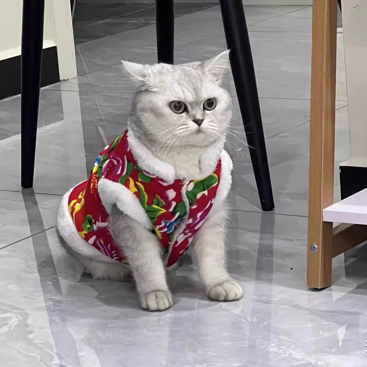 网红猫咪衣服2023新款秋冬装加绒加厚布偶英短防掉毛东北大花棉袄