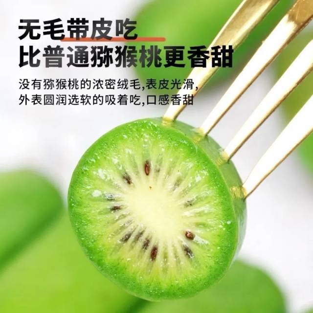 丹东软枣猕猴桃顺丰直发奇异莓狗枣子圆枣1斤/2斤/3斤装