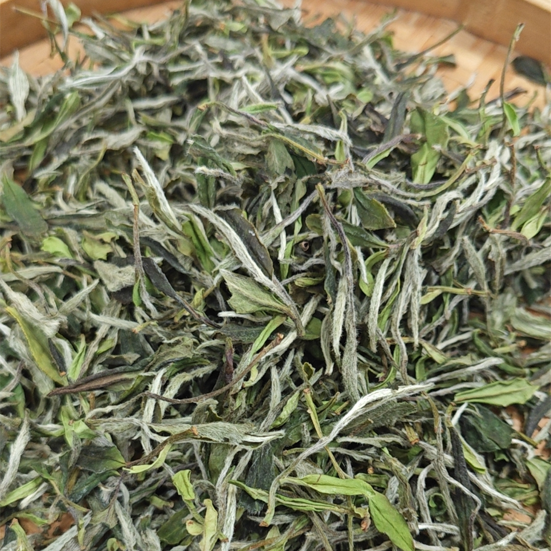 复初2025年荒野华茶一号一级白牡丹