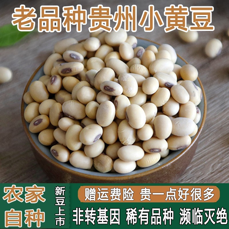 黄豆打豆浆专用非转基因老品种贵州山区农家黑脐土黄豆5斤小黄豆