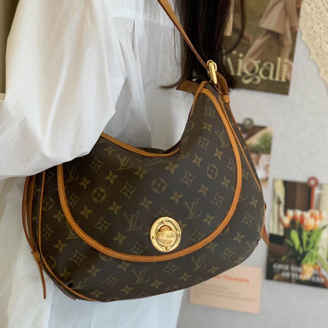 95新 LouisVuitton/路易威登 梵·大金豆斜挎单肩包/全原/95新