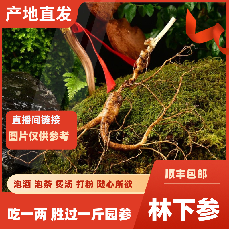 直播间专用链接-林下鲜人参 林下参泡酒 泡茶 打粉煲汤（一物一价）