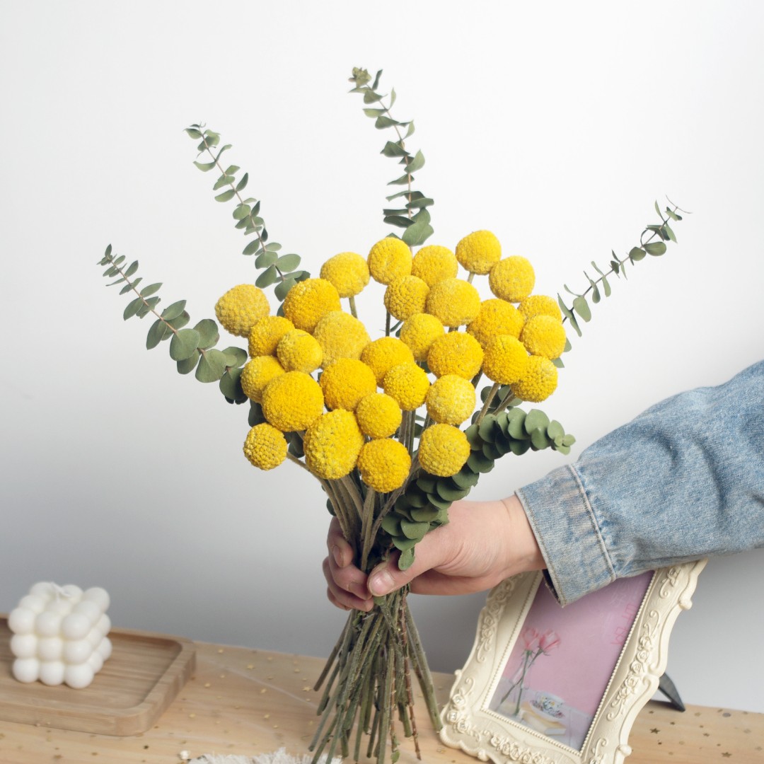 天然黄金球真花干花家庭摆放装饰干燥花卉插花送人花束搭配花新娘
