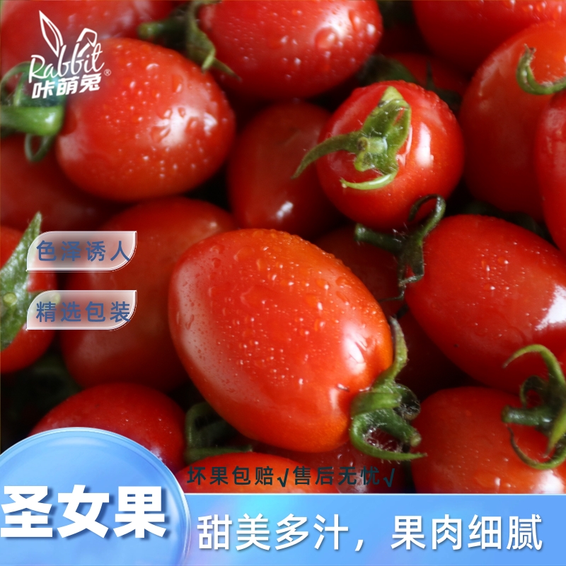 【咔萌兔】圣女果4.5斤甜美多汁果肉细腻产地直发