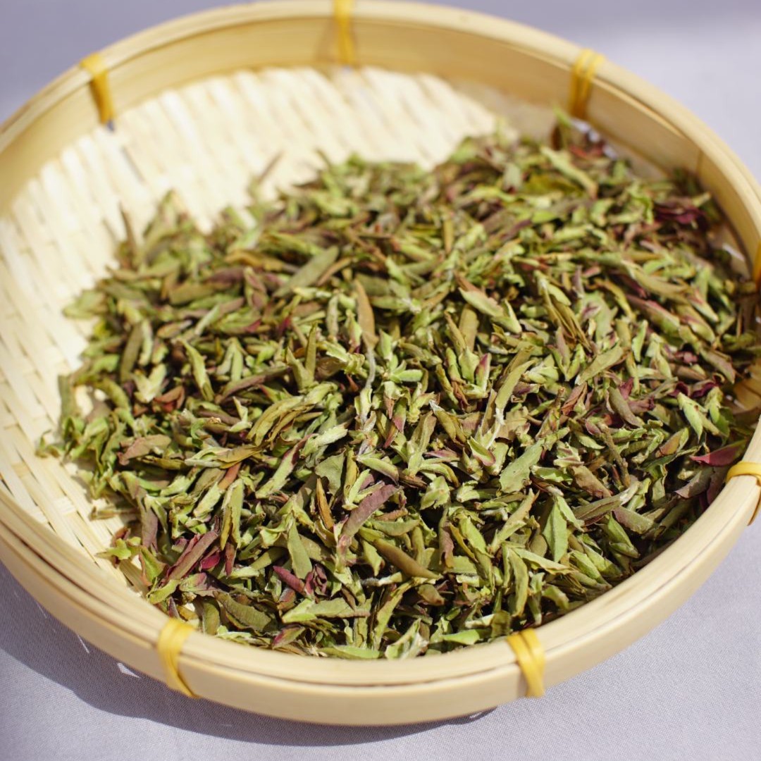 「冷泡超好喝」临沧大雪山紫芽苞 百花香玫瑰花香 高蜜甜生茶试喝